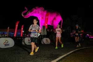 BIB: 
                            <button type="button" onclick="openModal(26534304)" class="btn btn-primary btn-sm float-right btn-popup" data-toggle="modal" data-target=".modal-high-quality">
                        <i class="fas fa-shopping-cart"></i> Add to Cart
                    </button>
                                            <button type="button" onclick="isThisMe(26534304, true)" class="btn btn-success btn-sm float-right btn-popup btn-isme hidden" data-toggle="tooltip" data-placement="bottom" title="นี่คือรูปของคุณใช่ไหม คลิกที่นี่เพื่อเอาเข้าอัลบั้ม">
                        <i class="fas fa-plus"></i> Add to album
                    </button>
                    <button type="button" onclick="isThisMe(26534304, false)" class="btn btn-warning btn-sm float-right btn-popup btn-isnotme hidden">
                        <i class="fas fa-ban"></i> Remove from album
                    </button>